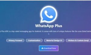 Descargar WhatsApp Plus: Tips for Power Users