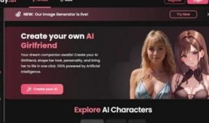 Personalized Desires: NSFW Character AI